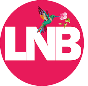 logo_LNB_web2 LNB logo